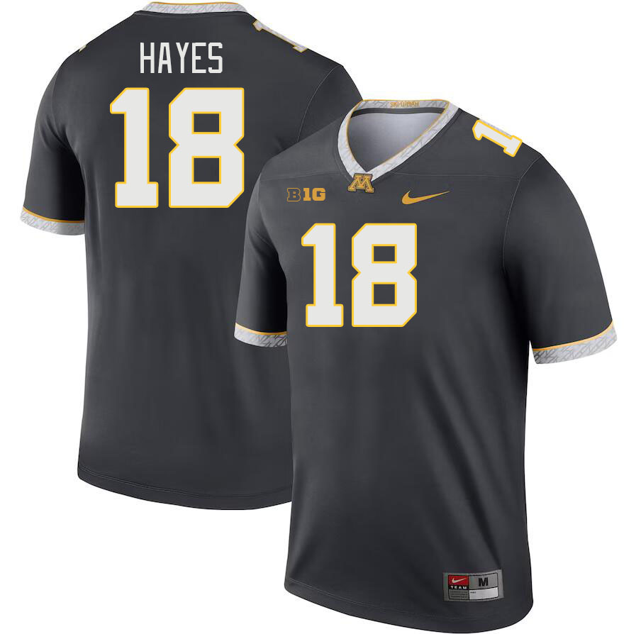 Men #18 Donielle Hayes Minnesota Golden Gophers College Football Jerseys Stitched-Charcoal